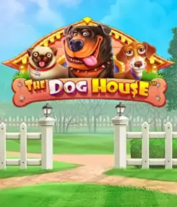 Pragmatic Play's The Dog House, offering a delightful experience into the world of charming canines. Discover gameplay elements such as sticky wilds, perfect for delivering joyful moments. Ideal for those who enjoy a cheerful atmosphere with a chance for big wins.